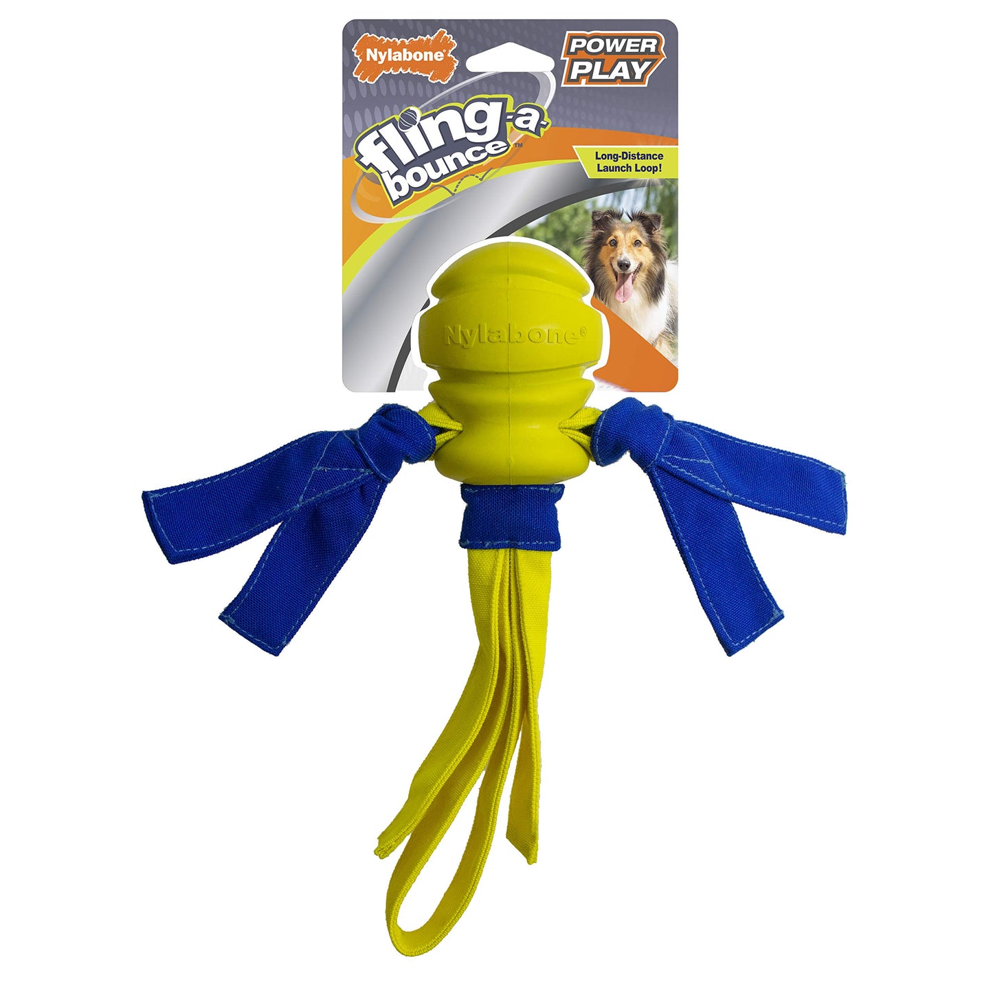 Nylabone Power Play Fling-a-Bounce Dog Fetch Toy – Medium