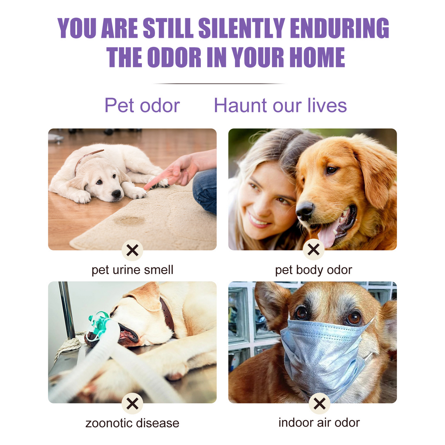 Pet Odor Control Spray – Neutralizes Pet Smells Indoors