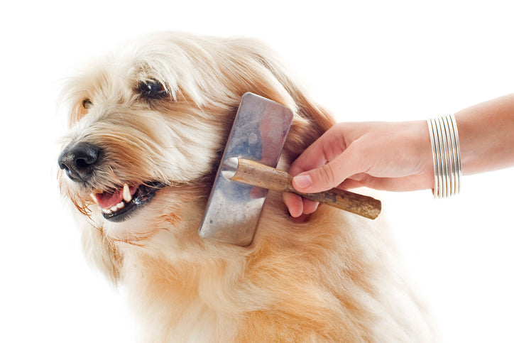 Grooming