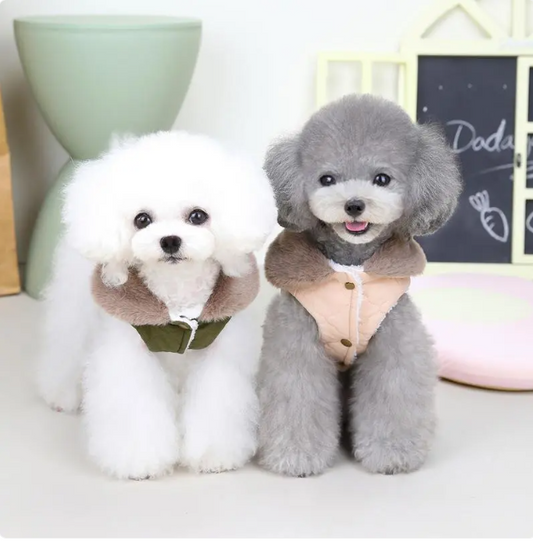 Warm Winter Vest for Cats & Small Dogs with Fur Collar