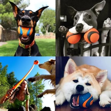 Dog Fetch Toy Ball – Durable Interactive Play Ball for Dogs