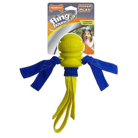 Nylabone Power Play Fling-a-Bounce Dog Fetch Toy – Medium