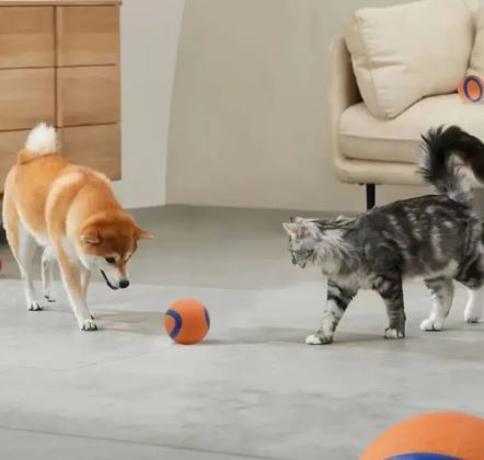 Dog Fetch Toy Ball – Durable Interactive Play Ball for Dogs