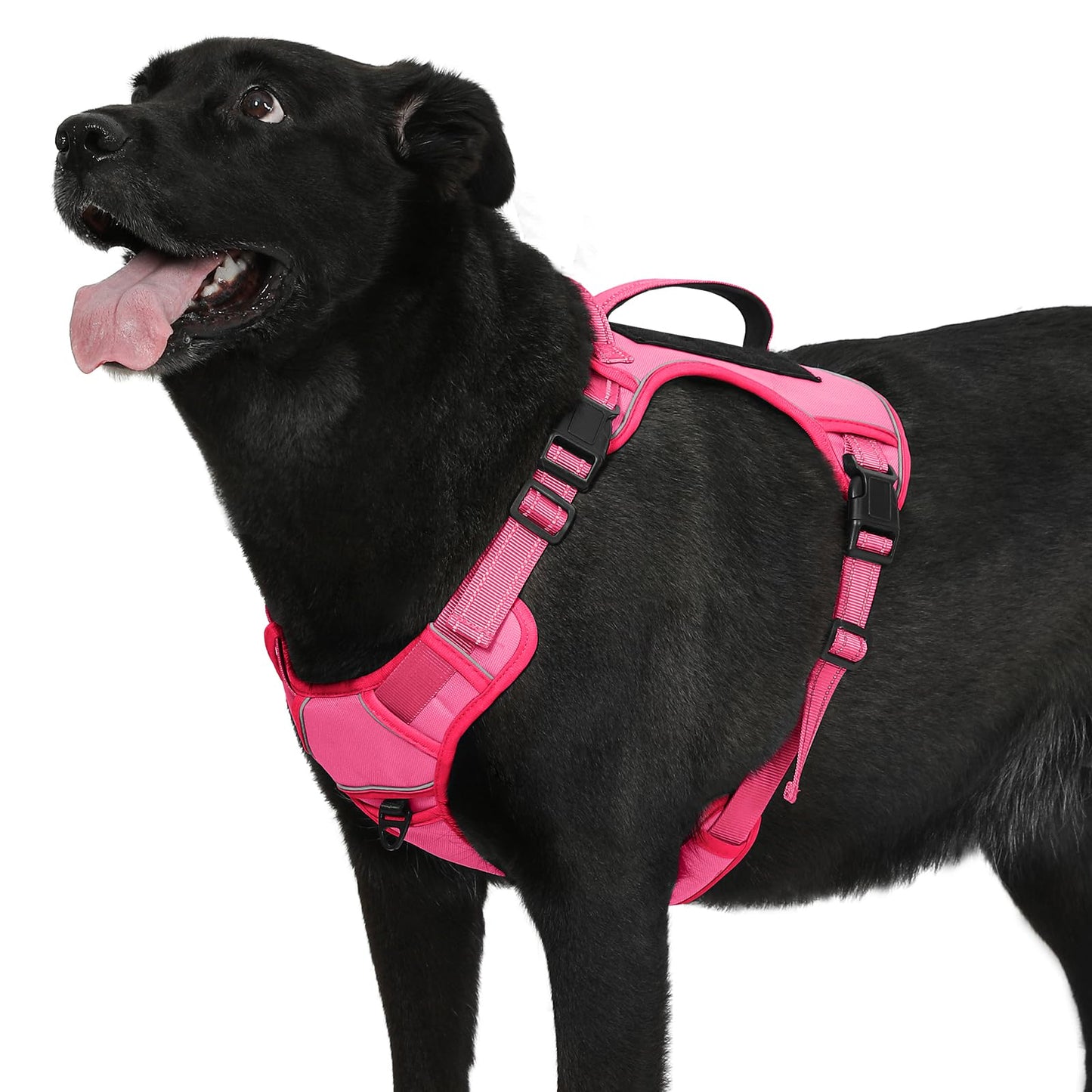 Bolux Tactical No-Pull Dog Harness – Reflective, Fuchsia, Large