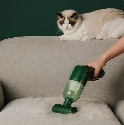 Pet Hair Suction & Removal Device