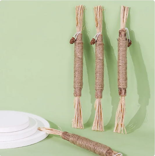 PurrPlay Catnip Dental Chew Stick for Cats