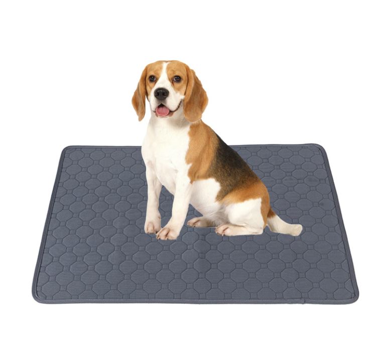 Pet Parents Washable & Reusable Dog Pee Pads