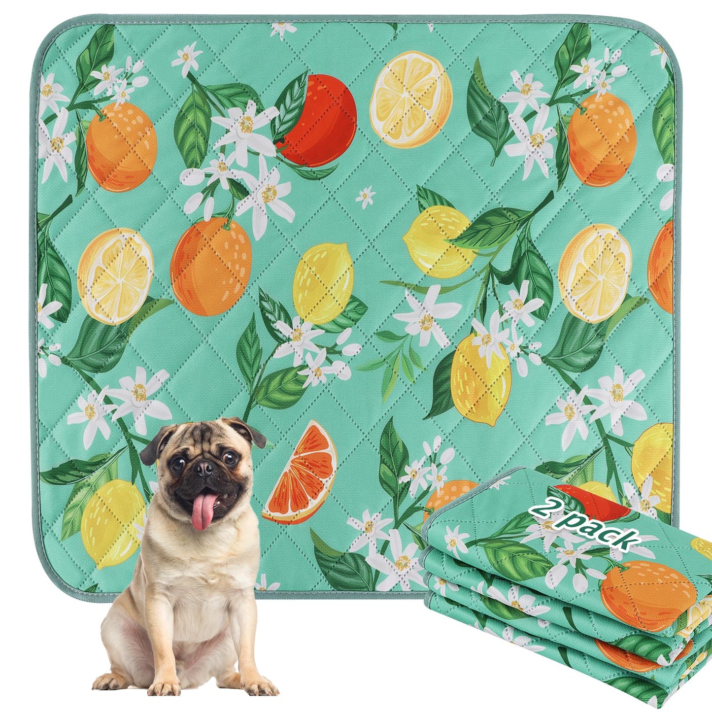 BVAGSS Washable Dog Pee Pads – 2-Pack, 30x20 Inch