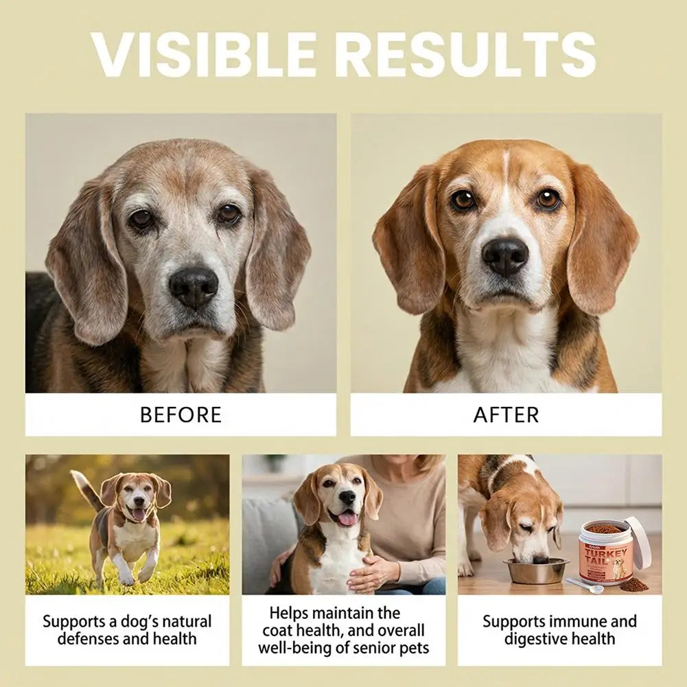 100g Dog Immune Support Supplement – Daily Immunity Defense, Promotes Healthy Immune System Function for Breeds, Easy-Mix Powder