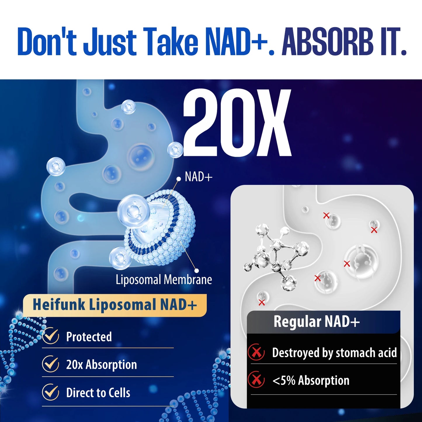 90 Capsules NAD+ Supplement, 1500mg - Liposomal NAD+ Supplement