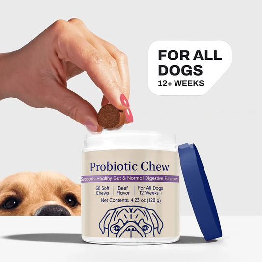 Dog Probiotics Chews - Dog Probiotics for Gut Health, Occasional Diarrhea, Digestive Health & Seasonal Allergies, Beef Flavor
