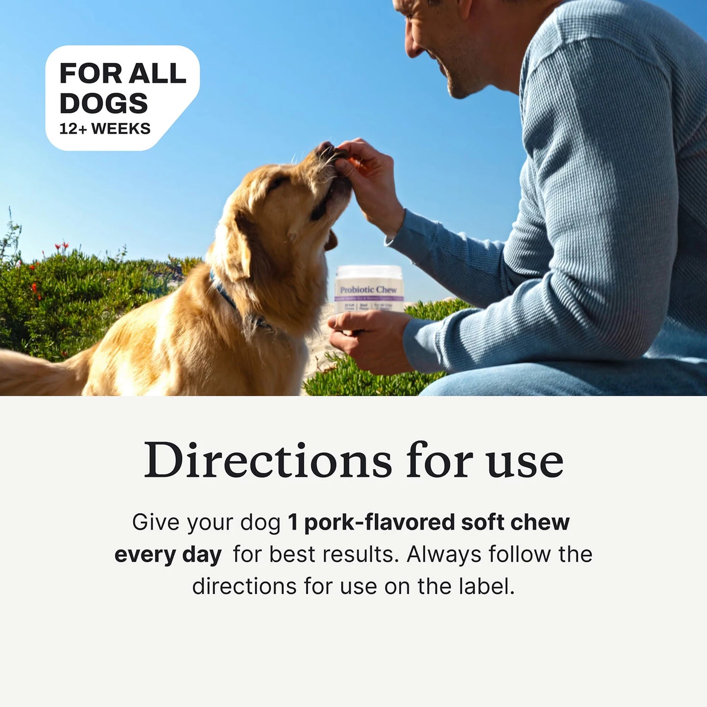 Dog Probiotics Chews - Dog Probiotics for Gut Health, Occasional Diarrhea, Digestive Health & Seasonal Allergies, Beef Flavor