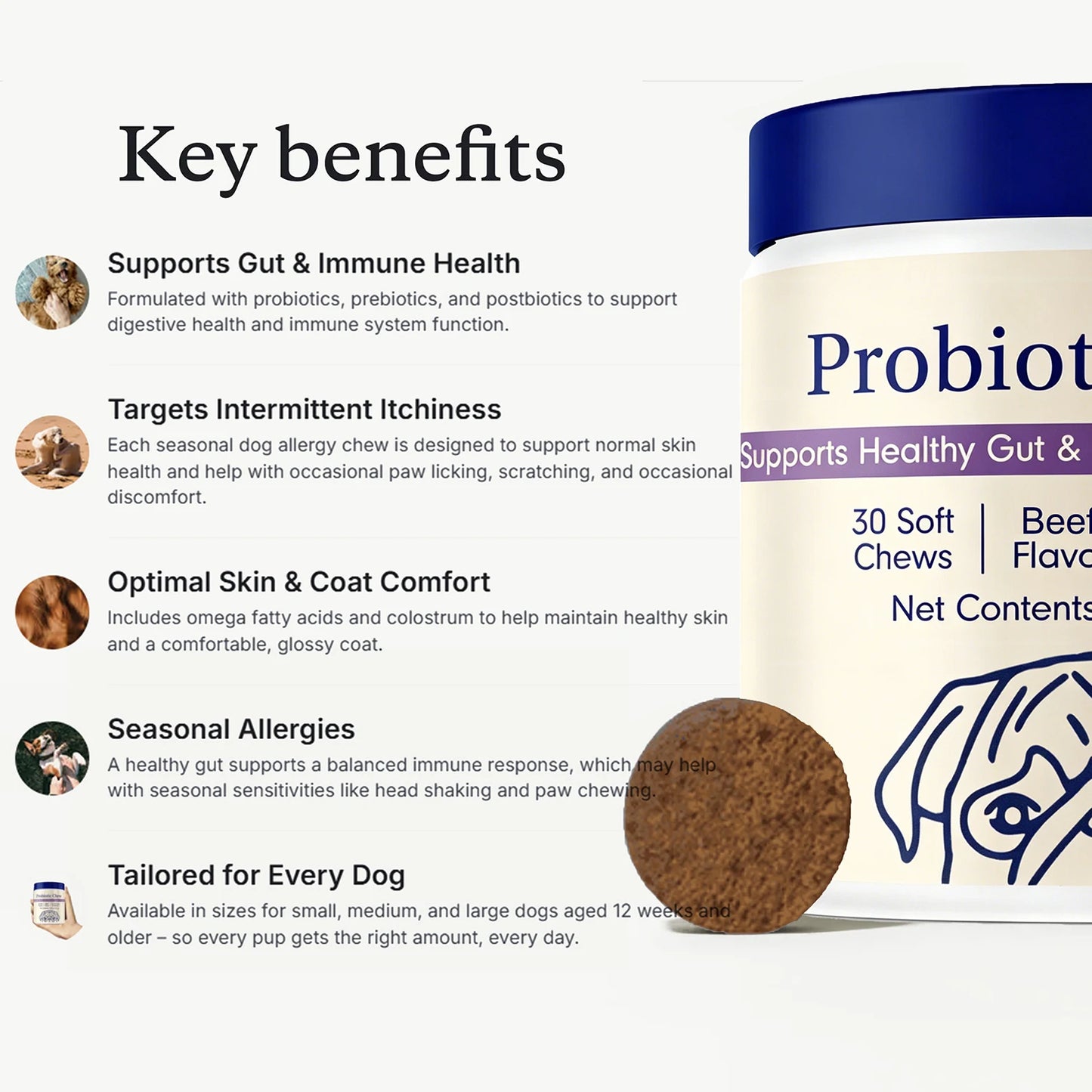 Dog Probiotics Chews - Dog Probiotics for Gut Health, Occasional Diarrhea, Digestive Health & Seasonal Allergies, Beef Flavor