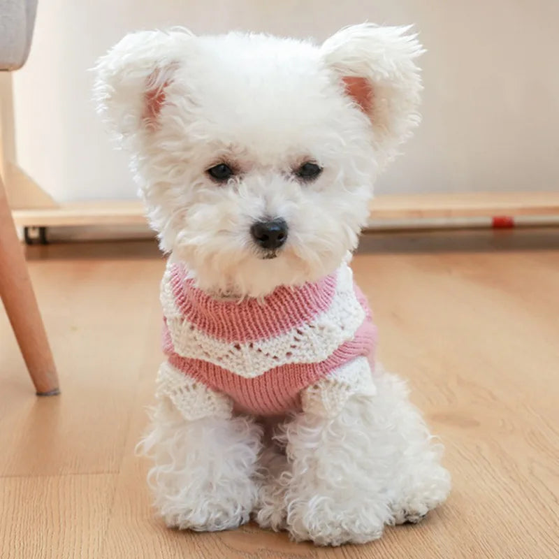 Dog Cute Sweater Warm Pet Sweater Knitted Flowers Blossoming Dog Sweaters For Dogs