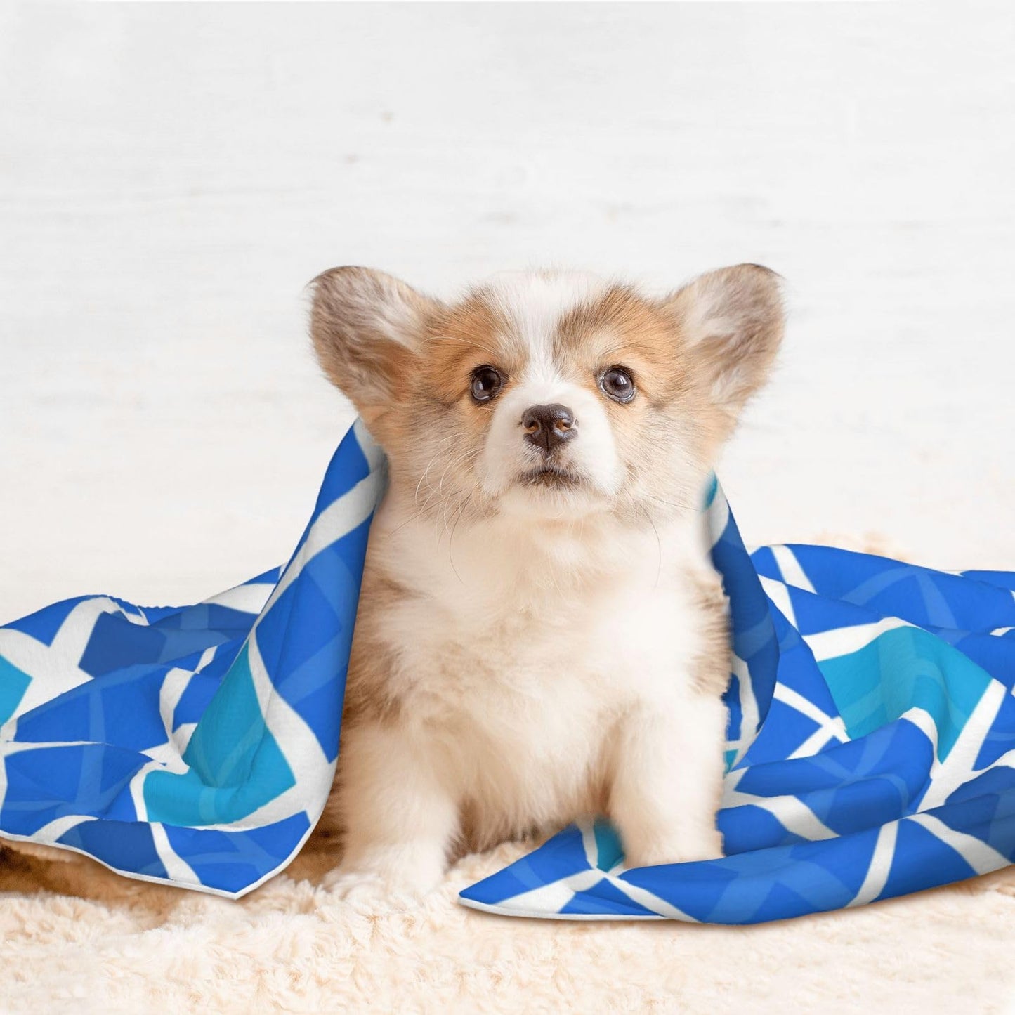 Plush Pet Blanket Blue Geometric 3D Paw Print Design Soft Fluffy Blankets Throw for Dog Puppy Cat Kitten Pets Gifts Small