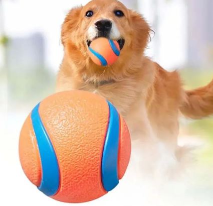 Dog Fetch Toy Ball – Durable Interactive Play Ball for Dogs
