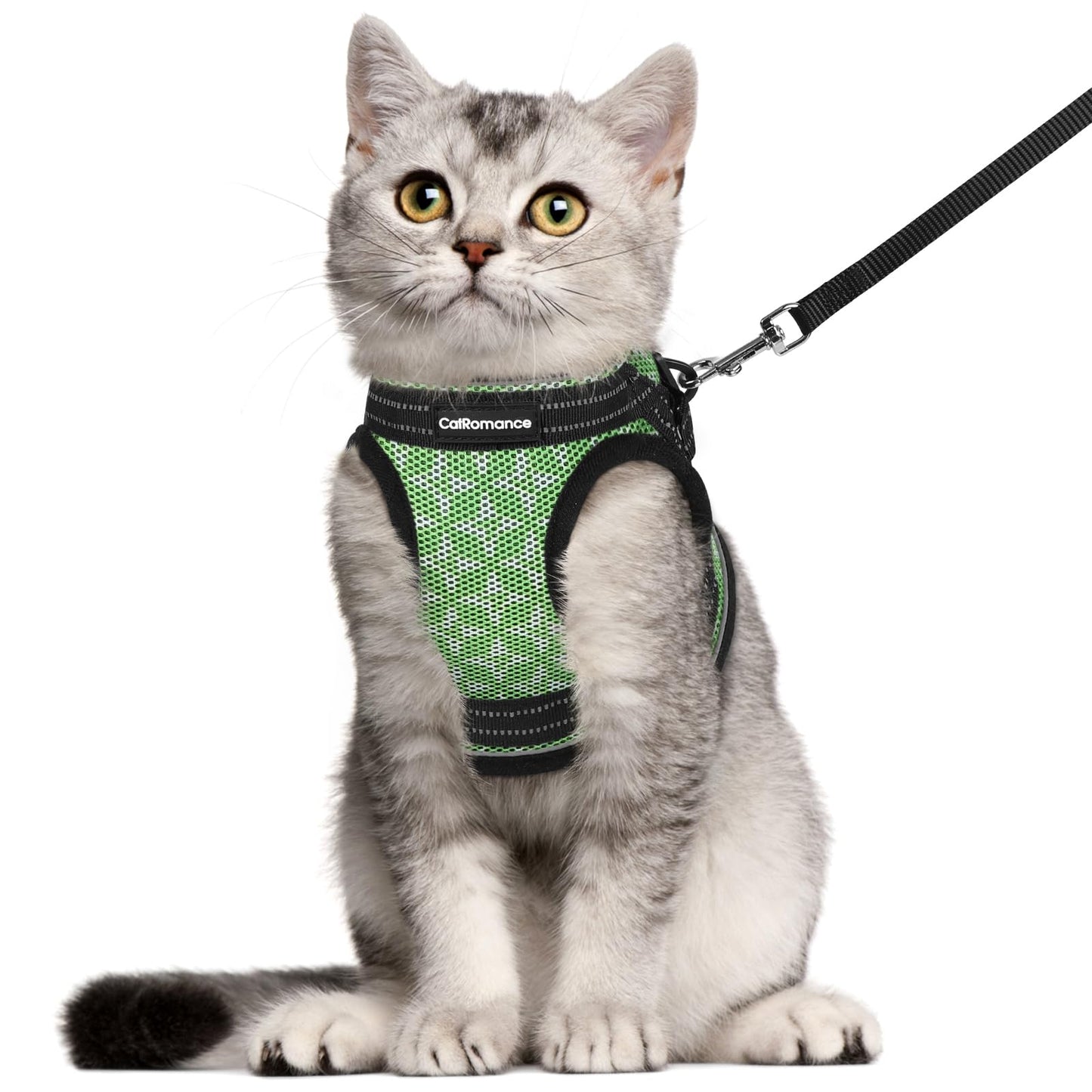 CatRomance Escape-Proof Cat Harness & Leash Set – Green, Large