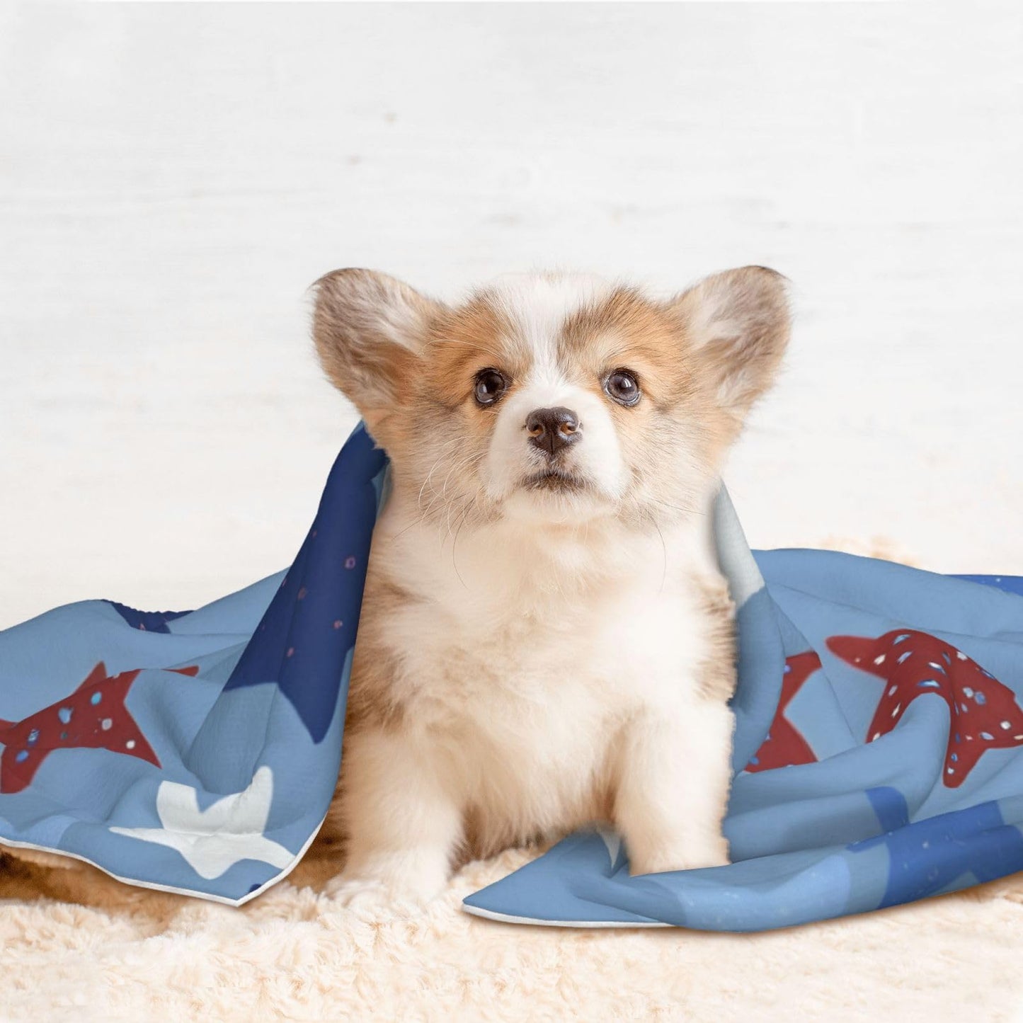 Plush Pet Blanket Stars 3D Paw Print Design Soft Fluffy Blankets Throw for Dog Puppy Cat Kitten Pets Gifts Small